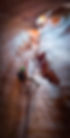 IMG_0679-Edit-Edit.jpeg