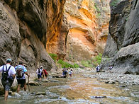 Group-1-3.JPG