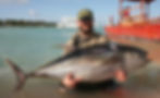 Fish Tuna 130lbs