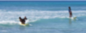Local surfers. nudity not compulsory.JP