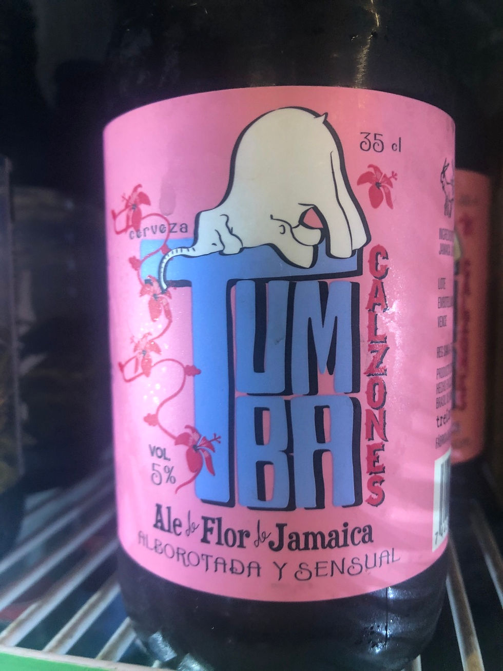 Tumba Calzones Hibiscus Beer (350ml)