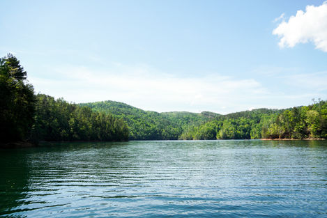 DSC01000