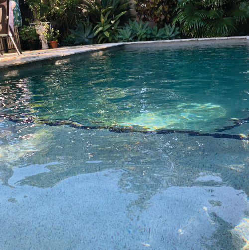 goldcoast_poolcleaning_project22