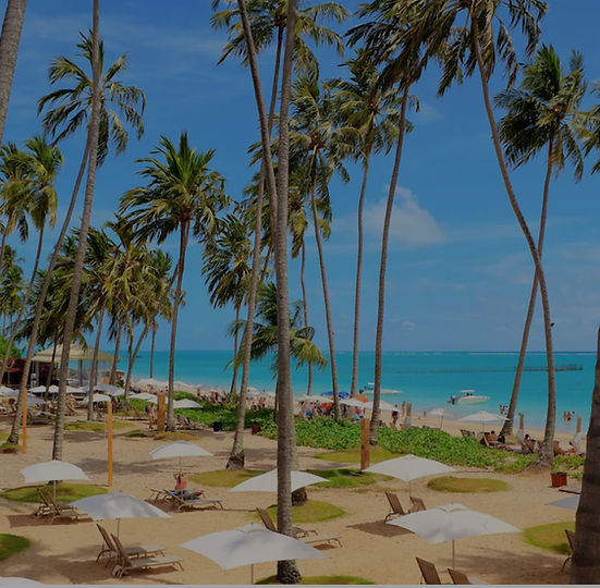 Praia com coqueiros e ombrelones no Grand Oca Maragogi