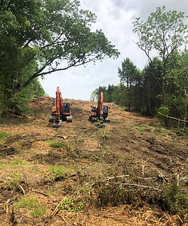 Vegetation Management_04.jpeg