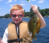 Muskie Livewells