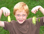 Bait Tanks