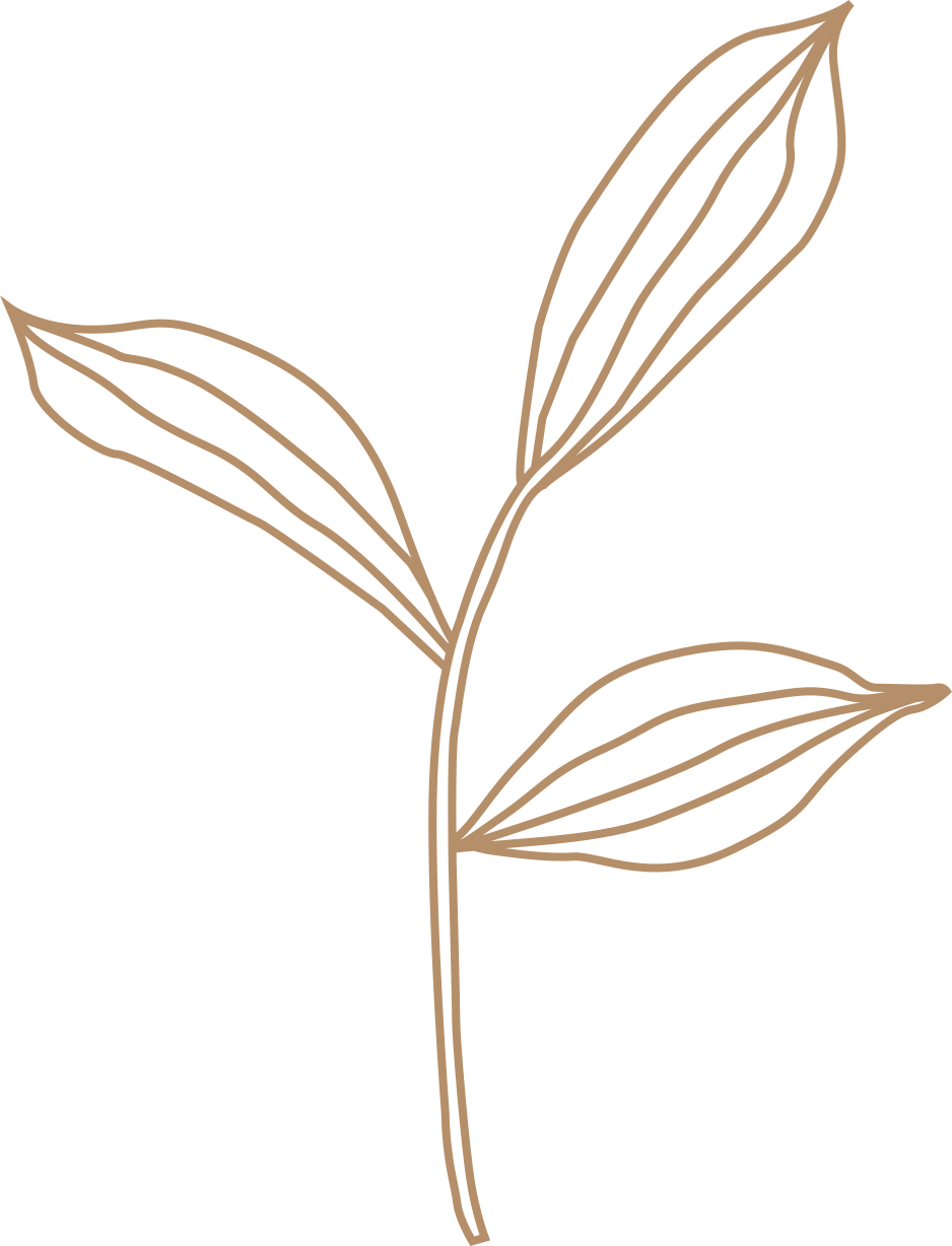Pflänzlilogo.braun.webp