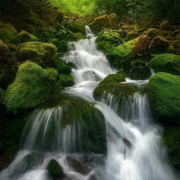 Naturally Free Satsang