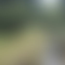 水のせせらぎに癒される「花島公園」