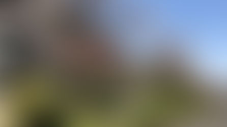 【団地探訪vol.5 竹山団地16-2】「100年団地」への道のりは、花とおしゃべりとペットと共に。