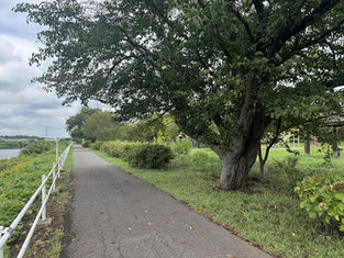 花見川サイクリングロード