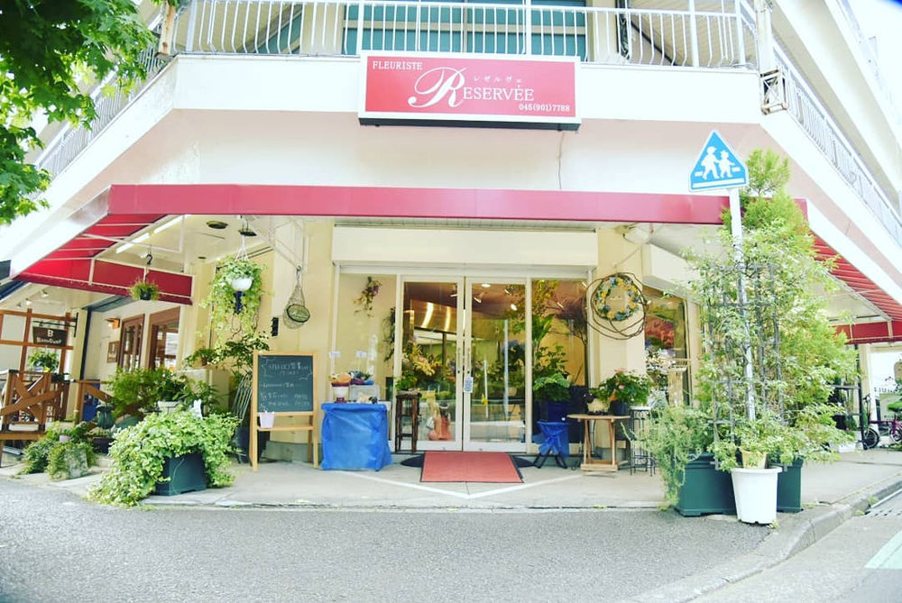 レゼルヴェさんが部屋のグリーンをご提案してくれました