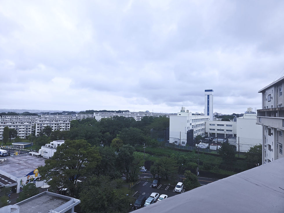 見えてる範囲全て左近山団地!その広さは圧巻です。