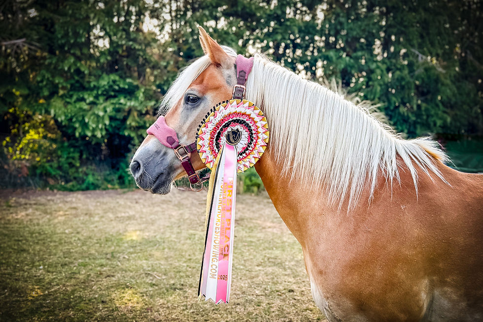 Peggy Decker & Cinnabar's Painted Puzzle