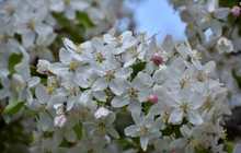 Screen Shot 2023-06-07 at 2.14.58 PM.png