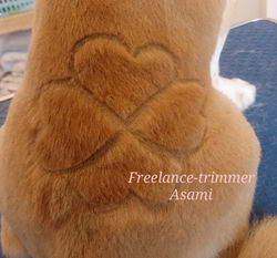 フリートリマーAsami　出張　トリミング　トリマー　チワワ　バリカンアート　バリアート　四葉のクローバー