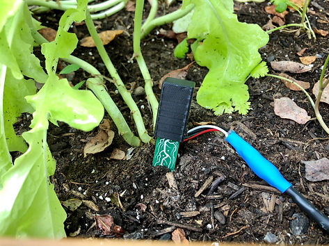 Soil-Sensor-2.jpg