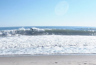 backside slash on the jumbo sting fish
