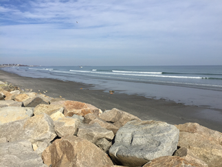 Fun Swell to End February