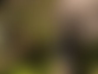 江碧にして 鳥逾白く 山青くして 花然えんと欲す