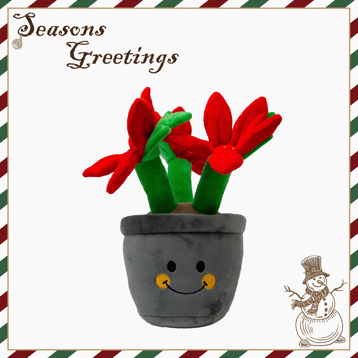 Henrietta Poinsettia