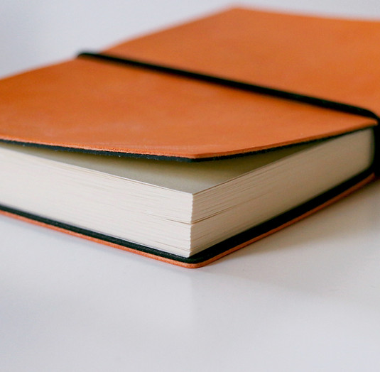 Notizbuch für Expertise in Coaching und Beratung