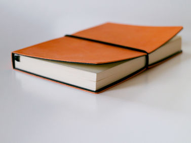 Penned Poems from the Past