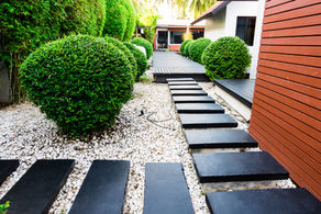 Your Lawn is Boring. Let's Fix That.