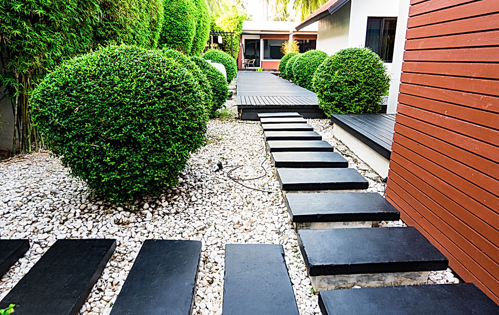 Garden Design services London and surrounding areas