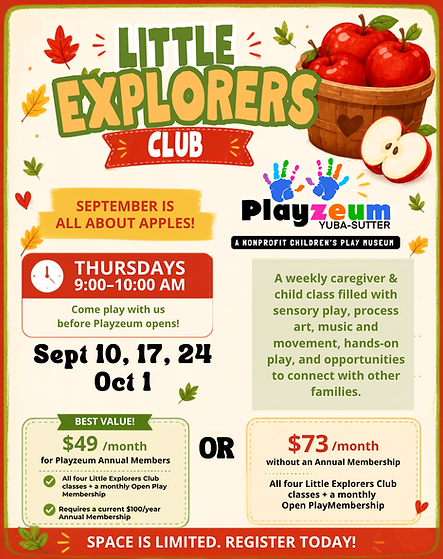 Little Explorers Club social post.png