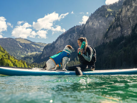 Comment faire du paddle avec son chien