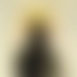 231: Hanging Garden- The Garden