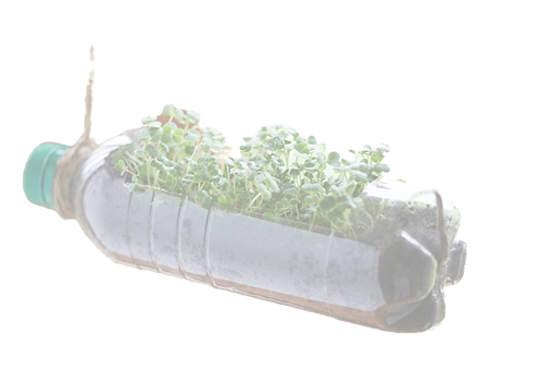 Recycled Bottle Planter_edited_edited.pn