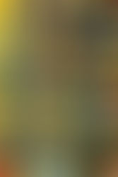 EINFACHE EIER-MUFFINS MIT SPINAT UND TOMATE (NUR 4 ZUTATEN)