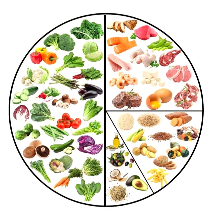 Eye-level view of a colorful balanced plate with vegetables, grains, and protein