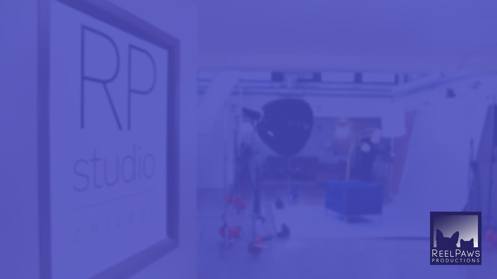 RP studio virtual background with purple filter