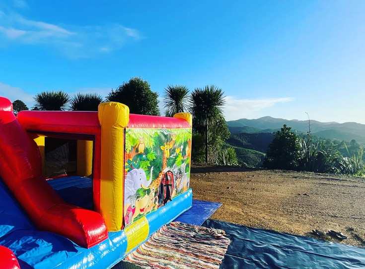 Jump into the Fun with Whangarei's Best Bouncy Castle Hire Jump Party