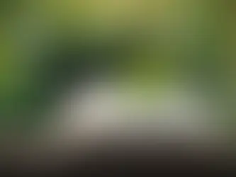 Uncovering the Impact of Mindfulness Meditation on Immune System Dynamics: A Comprehensive Review