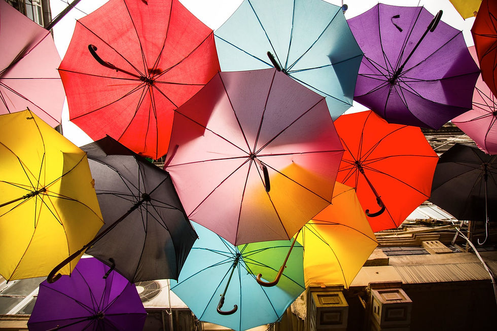 Safeguarding Your Agency