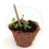Thumbnail: Eco-Friendly Plantable Seed Pen – Single Piece