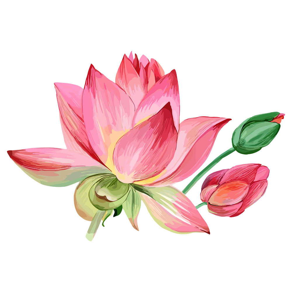 Lotus Flower Cloth Sticker