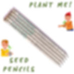 Plantable Seed Pencils
