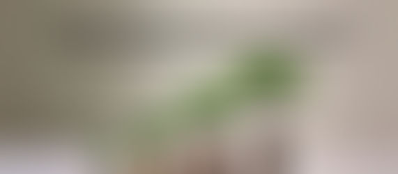 The Sustainable Pool House: Harnessing Solar Energy and Green Innovations