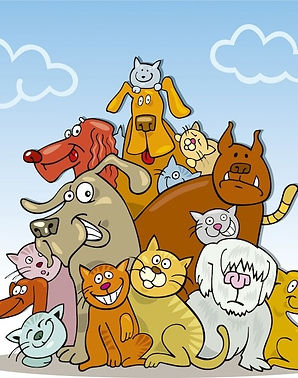 chien chat.jpg