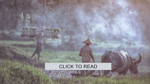 June 26, 2022 WORD The Cost of Following Jesus