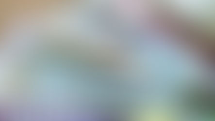 July 31, 2022 WORD Reflection