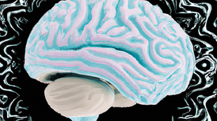 Dicas para ajudar a sua Memória