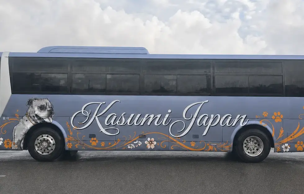 hero-bus.webp