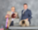 WM1203A Edit.jpg